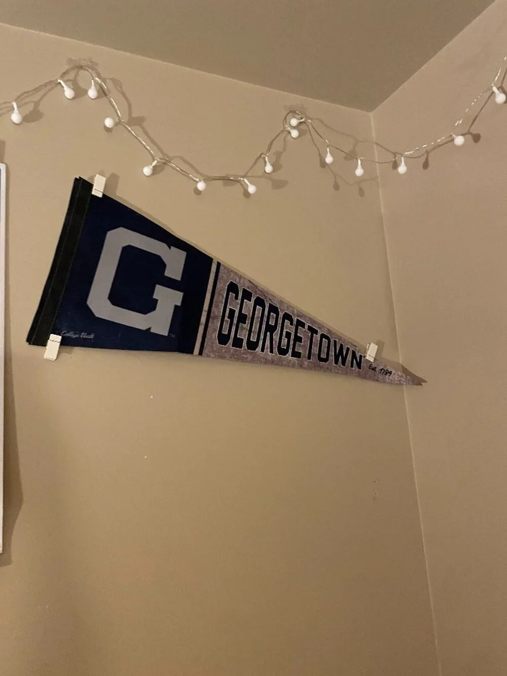 Georgetown University Pennant Flag
